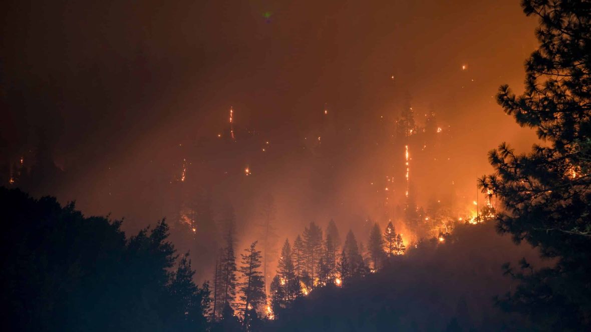 Risikoanalyse Wald- und Vegetationsbrände: Grundlage für effektive Einsatzplanung