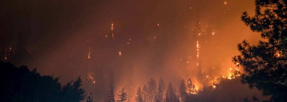 Risikoanalyse Wald- und Vegetationsbrände: Grundlage für effektive Einsatzplanung