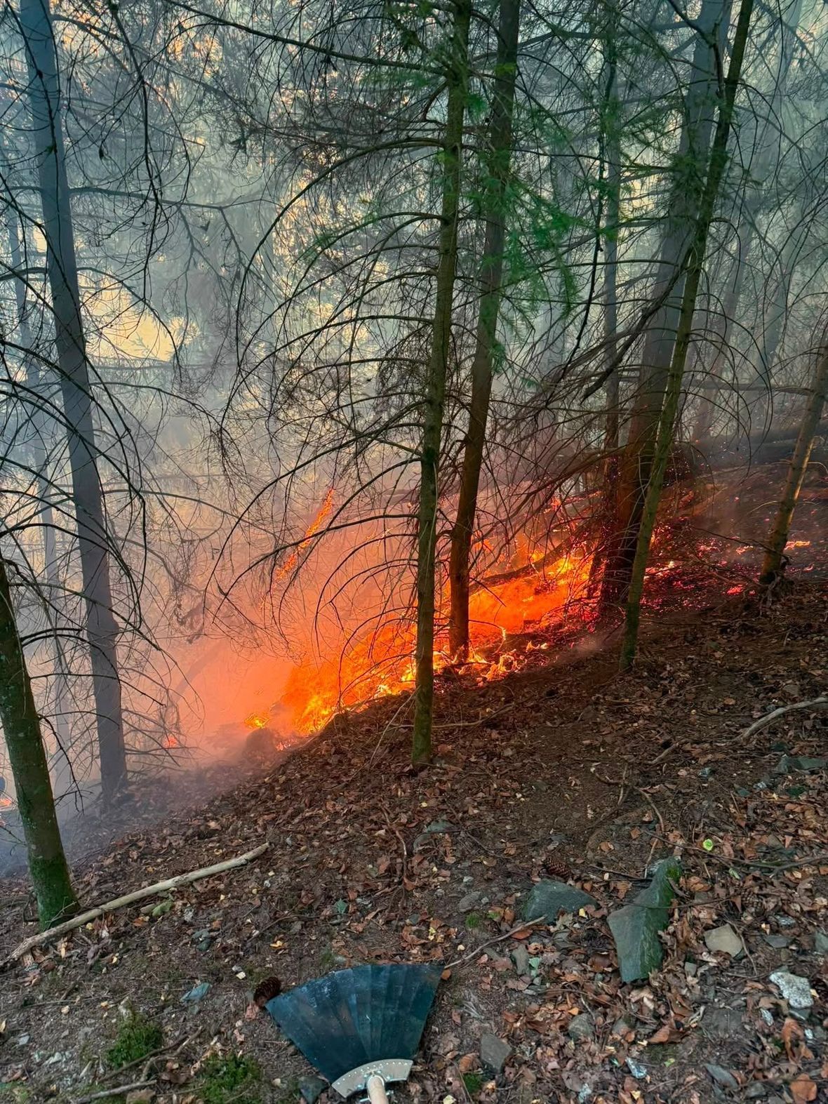 Bodenfeuer in einem Nadelholzbestand. Niedrige Flammen laufen durch die Streuauflage an einem Hang, zwischen den Stämmen steht dichter Rauch, im Vordergrund liegt eine Feuerpatsche.
