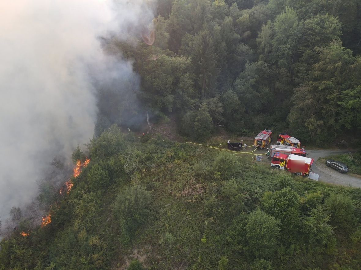 Luftaufnahme der Wasserversorgung an einer Einsatzstelle. Drei Löschfahrzeuge stehen auf einem Waldweg, von ihnen führt eine gelbe Schlauchleitung zu einem Faltbehälter, links breitet sich Rauch über den brennenden Hang aus.