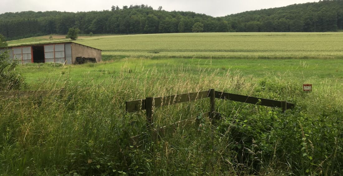 Eine verwilderte Löschwasserentnahmestelle